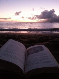 Hawaii Maui kniha
